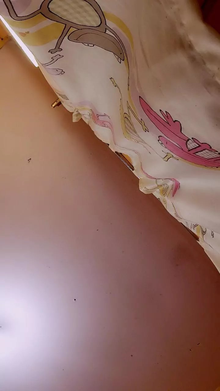 Offline Carolinaalg on Cam4